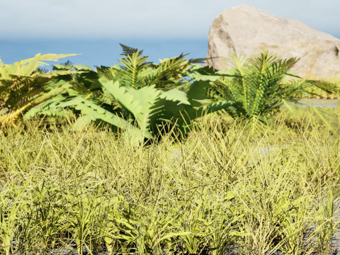 Game-Ready Nature Kit Grass Plants Stones Modelo 3D