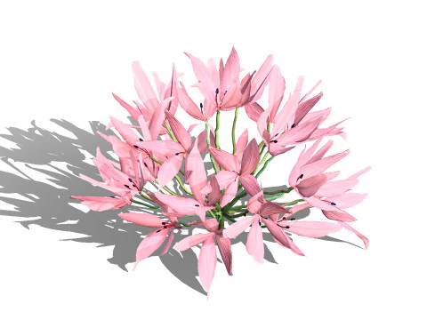 South African Candelabra Flower 3D Model