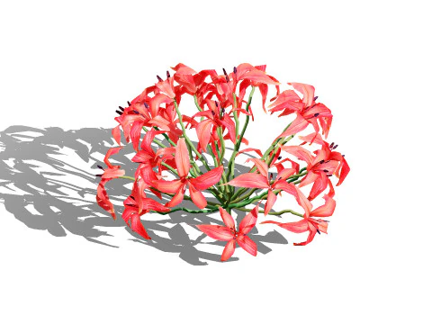 South African Candelabra Flower 3D Model