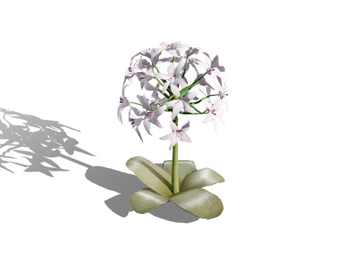 South African Candelabra Flower 3D 모델