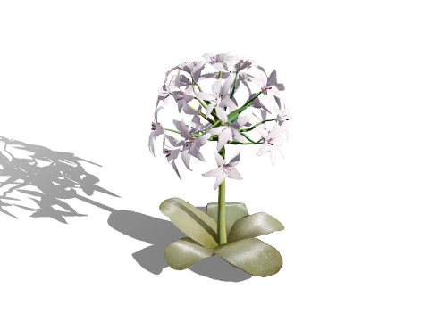 South African Candelabra Flower 3D Model