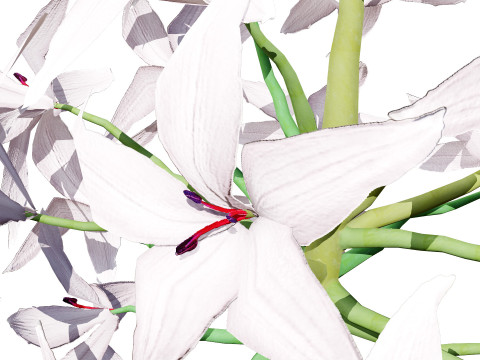 South African Candelabra Flower 3D 모델