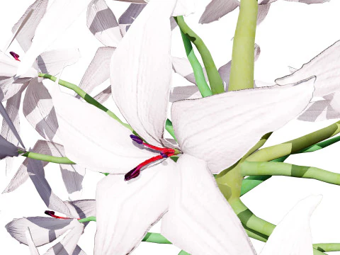 South African Candelabra Flower 3D Model