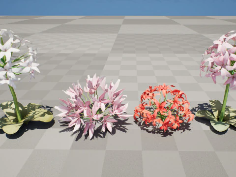 South African Candelabra Flower 3D Model