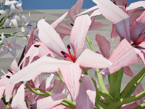 South African Candelabra Flower 3D Model