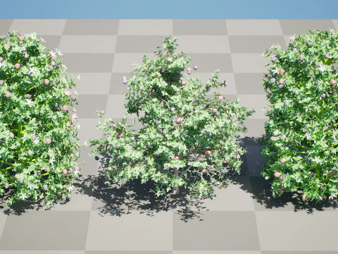 South African Natal Plum 3D Model
