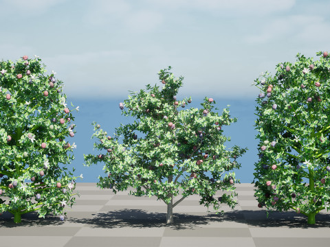 South African Natal Plum Modello 3D