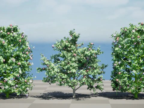 South African Natal Plum 3D Model