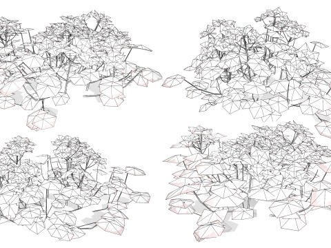 South African Pelargonium Pack 3D Модель