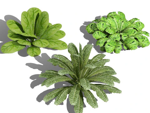 Pacote 3D de folhas verdes Modelo 3D