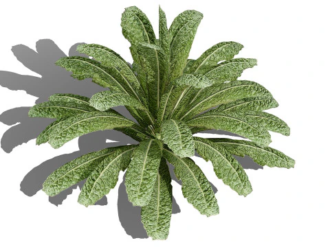 Листовая зелень 3D Pack 3D Модель