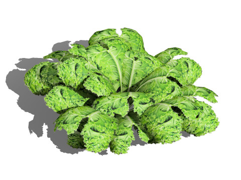Leafy Greens 3D Pack 3D Model