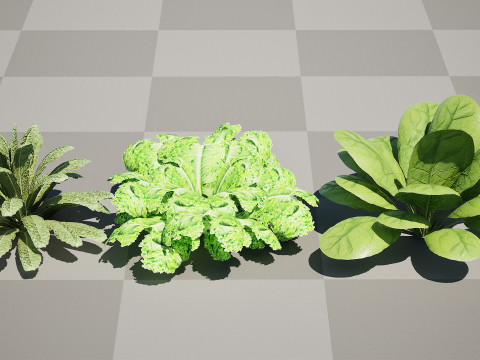 Leafy Greens 3D Pack 3D Model