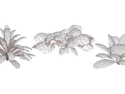 Leafy Greens 3D Pack 3D Model