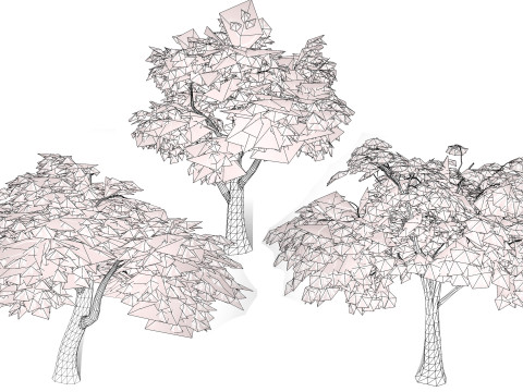 South African Mopane Tree 3D 모델