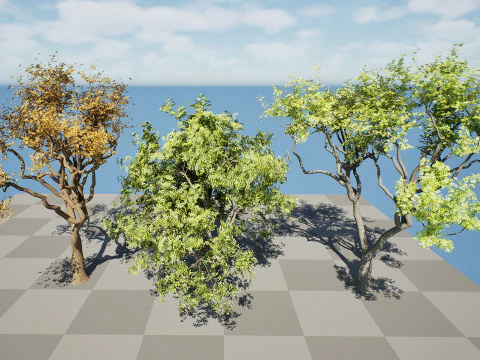 मारुला ट्री पैक 3D मॉडल