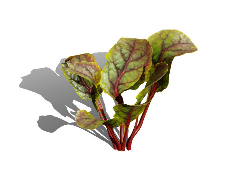 3D Leafy Green Plants Pack 3D Model