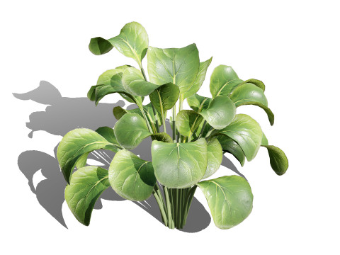 3D Leafy Green Plants Pack 3D Model