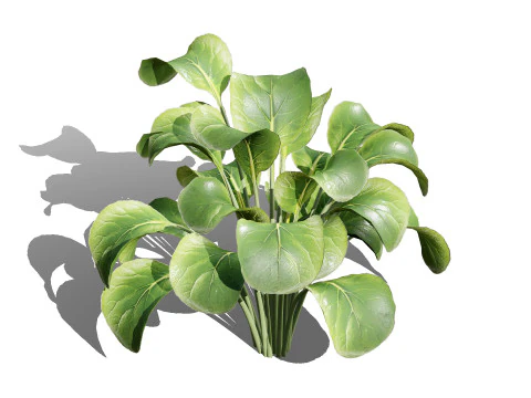 3D Leafy Green Plants Pack 3D Model