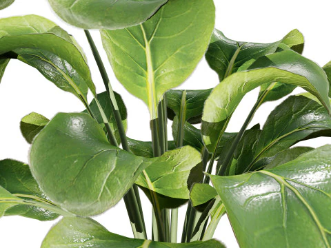 3D Leafy Green Plants Pack 3D Model