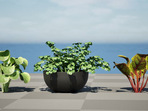 3D Leafy Green Plants Pack 3D Model