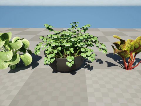 3D Leafy Green Plants Pack 3D Model