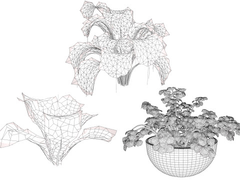 3D Leafy Green Plants Pack 3D Model