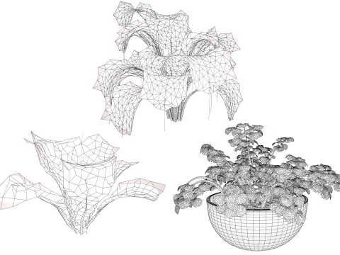 3D Leafy Green Plants Pack 3D Model