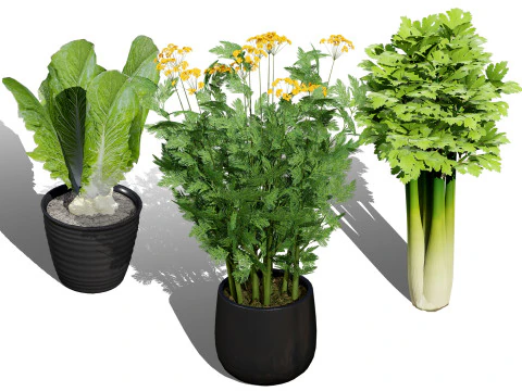 Pacote 3D de folhas verdes Modelo 3D