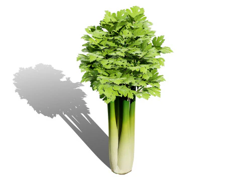 Leafy Greens 3D Pack 3D Model