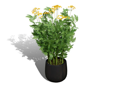 Leafy Greens 3D Pack 3D Model