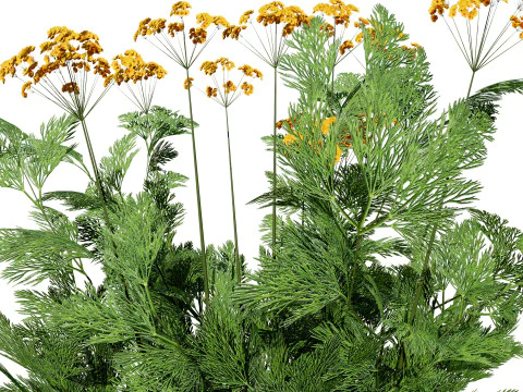 Leafy Greens 3D Pack 3D Model