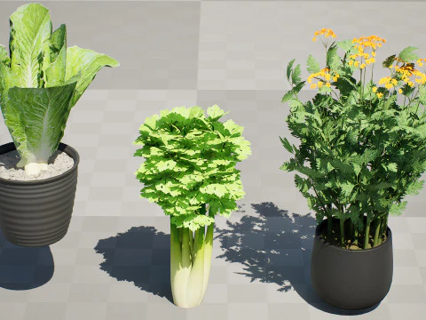 Leafy Greens 3D Pack 3D Model