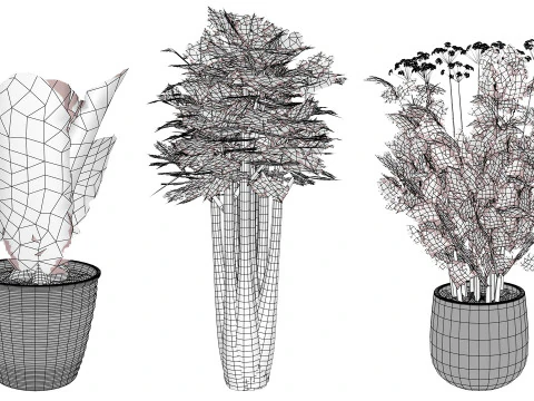 Leafy Greens 3D Pack 3D Model