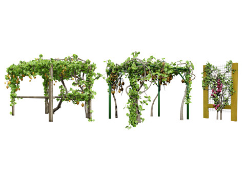 Kiwi Vine 3D Pack 3D Model