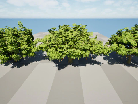 South African Sausage Trees Pack 3D Model