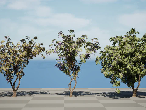South African Tree Wisteria Collection 3D Model