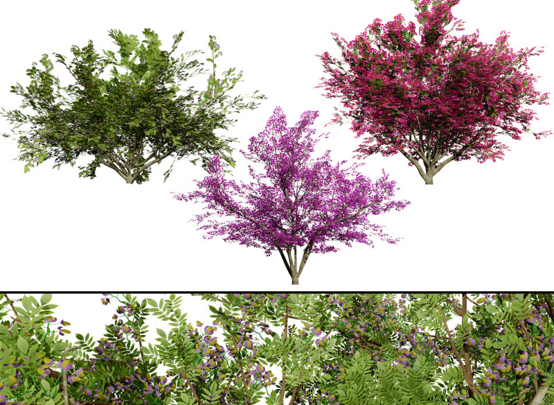 Vibrant Floral Tree Collection 3D Model .c4d .max .obj .3ds .fbx .stl .blend