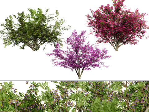 Vibrant Floral Tree Collection 3D 모델