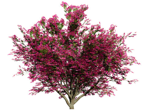 Vibrant Floral Tree Collection 3D Model
