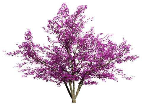 Vibrant Floral Tree Collection 3D Model