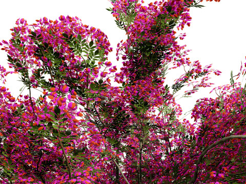 Vibrant Floral Tree Collection 3D Model