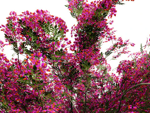 Vibrant Floral Tree Collection 3D Model