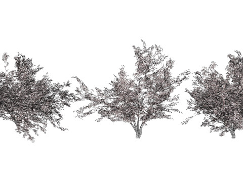 Vibrant Floral Tree Collection 3D Model