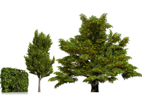 UK Hedgerow Hornbeam Collection 3D 모델