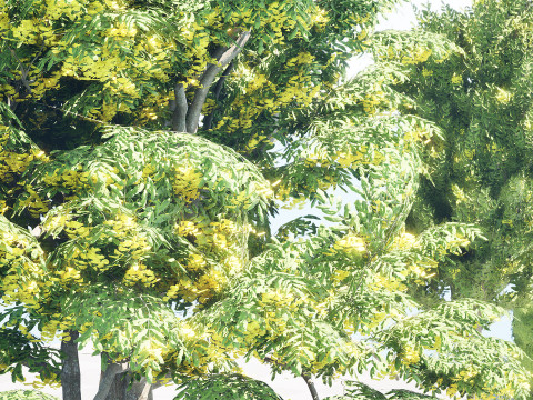 UK Hedgerow Hornbeam Collection 3D Modell