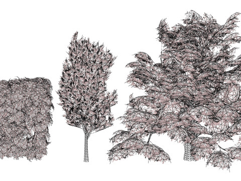 UK Hedgerow Hornbeam Collection 3D Modell