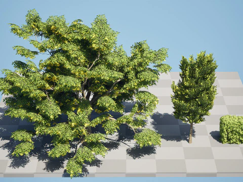 Regno Unito Collezione di carpini di siepi Modello 3D