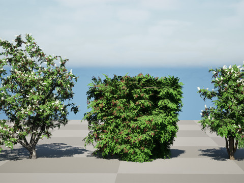 Cherry Laurel Rowan Pack 3D Model