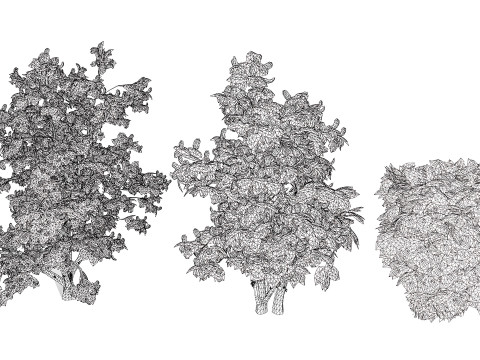 Cherry Laurel Rowan Pack 3D Model